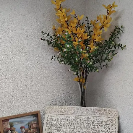 Margarita 아파트 바슈카