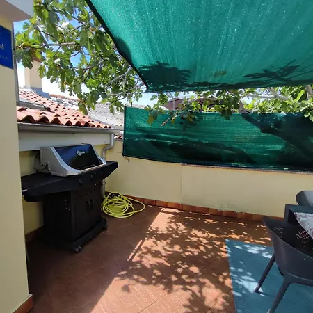 Margarita באסקה